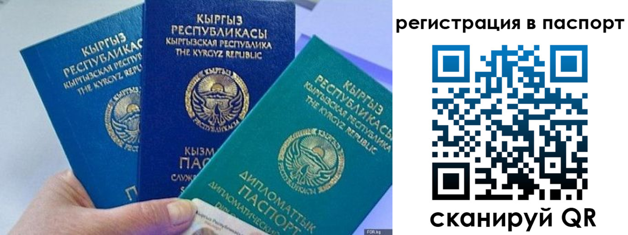 прописка 2025 в Данкове